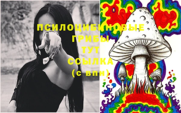 крисы Покров